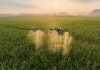 大疆农业发布T60、T25P 农业无人飞机，作业多场景， 场场都出色，大疆农业无人机